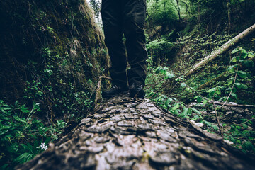 man explore the wild little valley