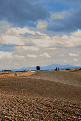 Obraz premium tuscany