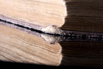 close-up detail of old antique book