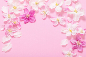 Obraz na płótnie Canvas pink apple flowers on pink background