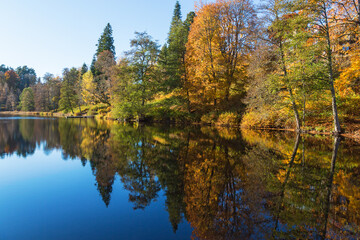 View of a forest lake in autumn