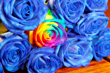 Fototapeta na wymiar Bouquet of blue multicolored roses. Selective soft focus. Abstract floral background for your art project.