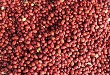 Oil Fried Peanuts Indian Village Fair For Selling with Selective Focus on Top