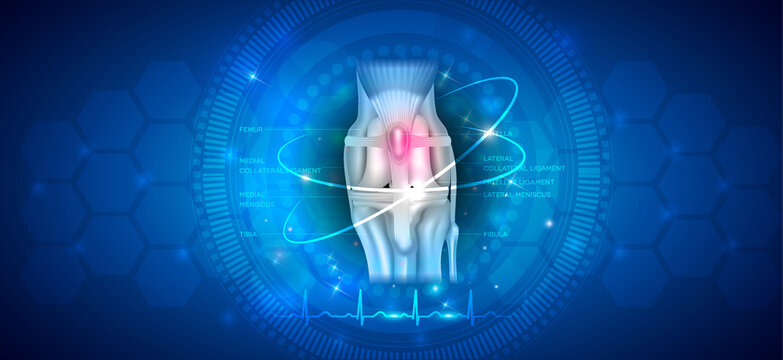 Anatomy of the healthy canine (dog's) knee joint health care concept design on an abstract blue scientific background.