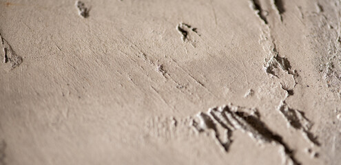 wall texture with gray decorative putty