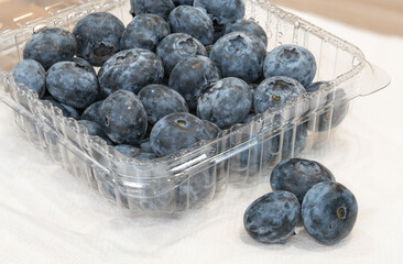 Fresh blueberries, colorful and tasty