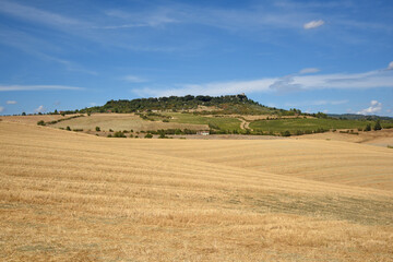 Tuscany landscape, the countryside of Maremma, SATURNIA