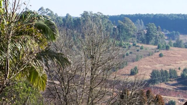 Haenertsburg landscape scene in Limpopo, South Africa