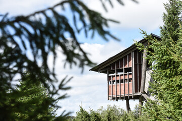 Belgique Wallonie Ardenne bois foret environnement planete