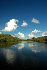Obraz premium The reflection of the world in the seemingly endless Zambezi River in Zambia