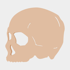 Skull shape vector isolated.