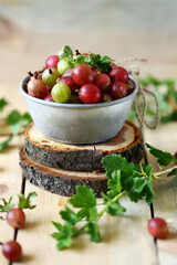 Selective focus. Fresh gooseberries in a bowl on a wooden surface. Gooseberry branches.