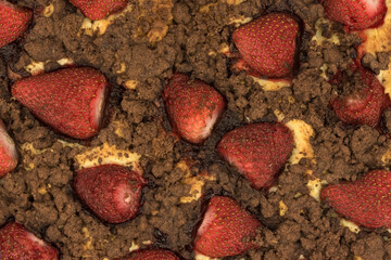 homemade yeast cake with strawberries