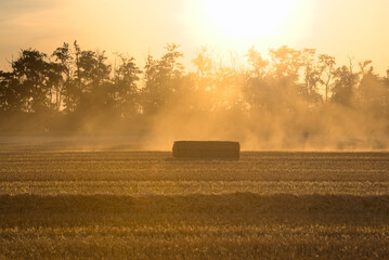 Strohballen im Gegenlicht mit Staubspuren der Fahrzeuge