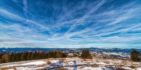 winter landscape with snow