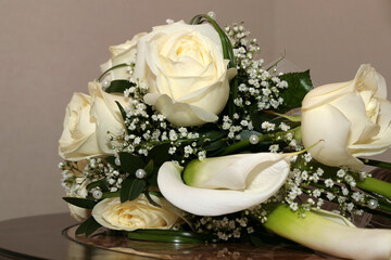 Beautiful red roses in the garden on blurred background. Selective soft focus. As floral background for your art project