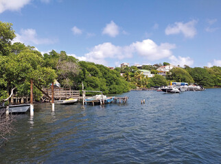 Fototapeta premium Caribbean coastline with rustic piers, colonial houses and littoral vegetation of the Caribbean Sea under blue sky with white clouds. French Antilles. Vegetation near the sea and tropical nature.