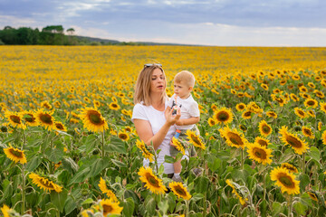 Fototapeta premium little boy with mom in a white t-shirt walks in a field of sunflowers 