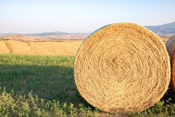 Val d'Orcia