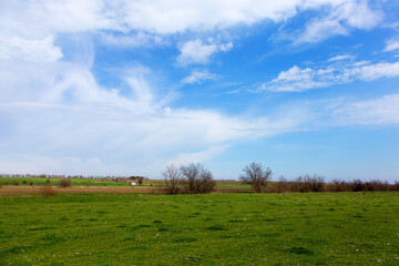 Rural landscape, panorama, village, margins, spring, summer. Minimalism.