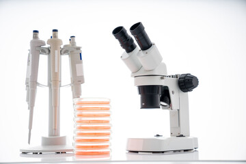 microscope, petri dishes and pipette stand by microbiological laboratory