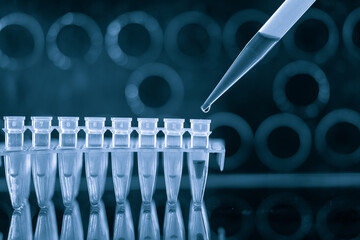  PCR Tube Strips Well  and Pipette in genetic research laboratory close up