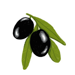 Olive tree branch with green leaves and black olives