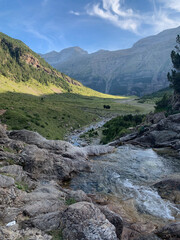 Pastos del Valle de La Larri en Huesca