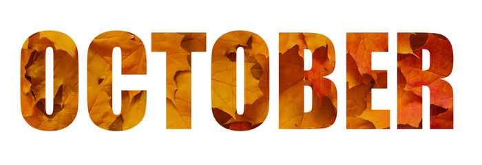 Design October text on a white background