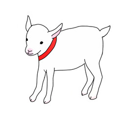赤い首輪をした子ヤギ