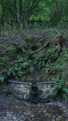 Entlang der Ködeltalsperre in Bayern