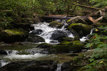 Cascading stream in nature