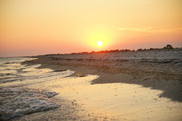 rays of the sun in the evening are reflected in the foam of the sea wave on the coast