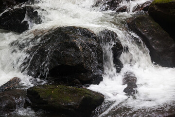 Cascades from Georgia Mountains in Black and White