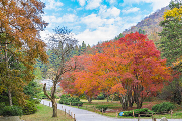 Beautiful Mountain Lu geopark landscapes in late autumn, Jiujiang, Jiangxi, China