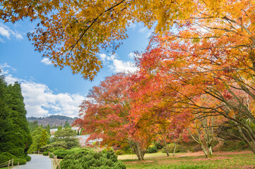 Naklejka premium Beautiful Mountain Lu geopark landscapes in late autumn, Jiujiang, Jiangxi, China