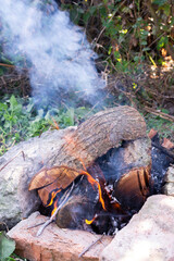 Campfire in nature, making a fire in your garden for cooking meat on an open fire