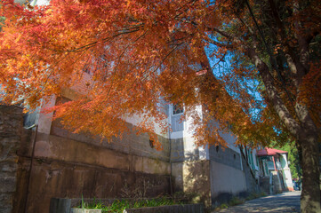 Beautiful Mountain Lu geopark landscapes in late autumn, Jiujiang, Jiangxi, China