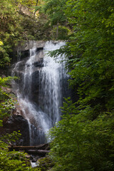 Fototapeta na wymiar North Georgia Waterfall