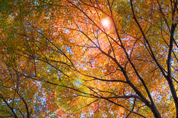 Beautiful Mountain Lu geopark landscapes in late autumn, Jiujiang, Jiangxi, China