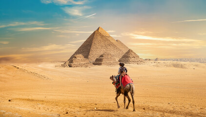 Camel and the Pyramids - obrazy, fototapety, plakaty