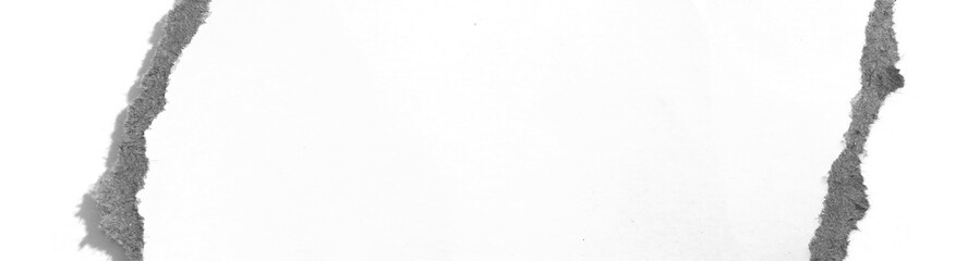 torn paper isolated on white background