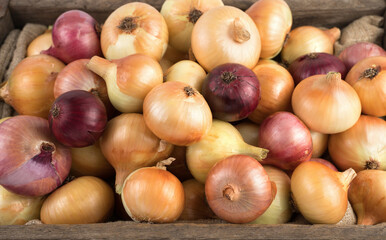 Onions of different varieties: yellow, red, pink-salad. Top view in processing, close-up. Vegetable background. Concept of food, farm, natural products.