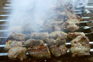 Grilled kebab cooking on metal skewer. Roasted meat cooked at barbecue. BBQ fresh beef meat chop slices. Traditional eastern dish, shish kebab. Grill on charcoal and flame, picnic, street food