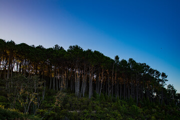 sunset in the mountains