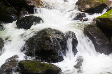 Cascades around rocks