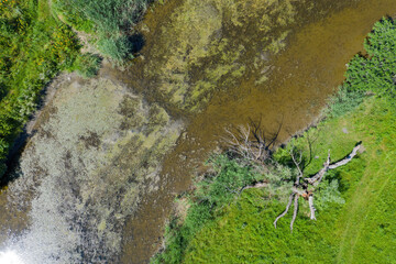 Green meadow and small river. Aerial view.