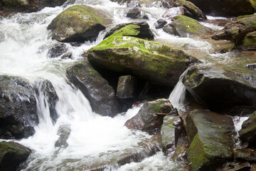 Cascades around rocks