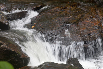 Cascading stream in nature