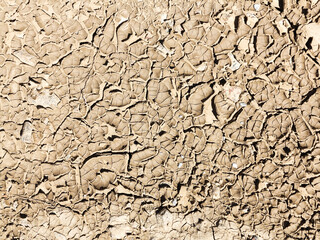 texture of dried cracked surface layer of the earth